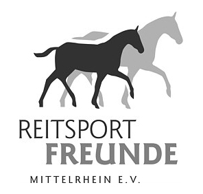 Logo RSFM